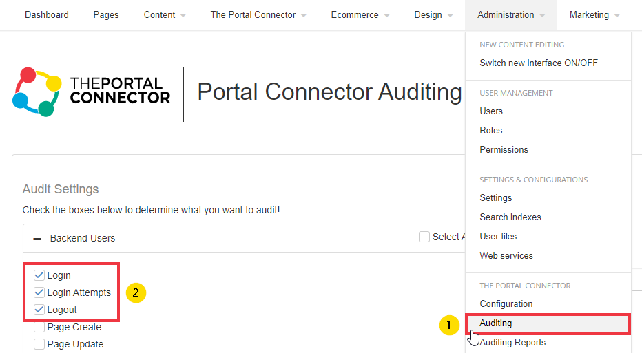 Auditing Report Configuration